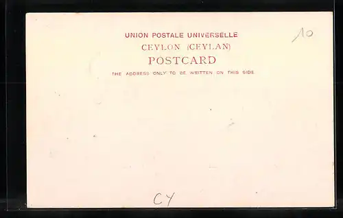 AK Colombo, York Street