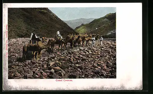 AK Las Palmas, Camel Caravan