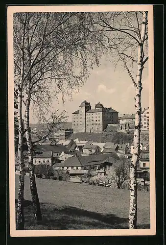 AK Mlada Boleslav, Blick auf die Stadt und das Schloss