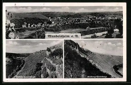 AK Mundelsheim a. N., Mühlbachweinberge, Käsberg-Weinberge, Totalansicht