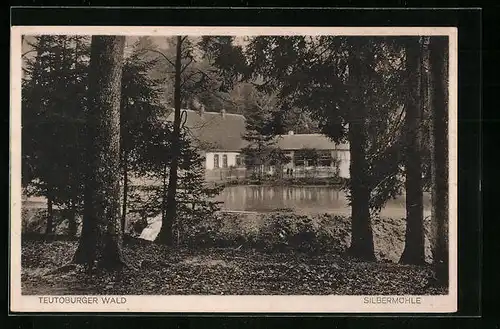 AK Leopoldstal / Teutoburger Wald, Gasthaus Zur Silbermühle