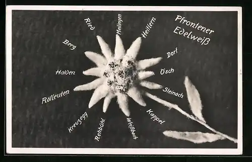AK Pfronten, Edelweiss mit Ortsnamen