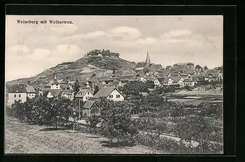 AK Weinsberg, Gesamtansicht mit Weibertreu