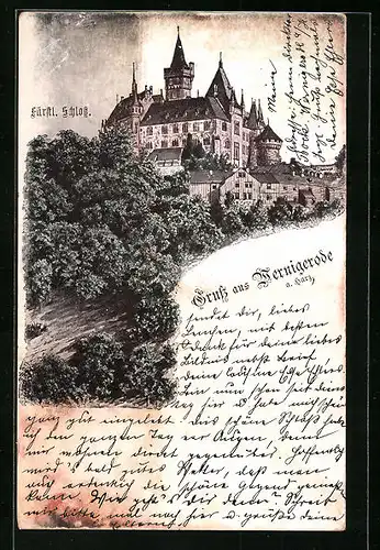 Lithographie Wernigerode / Harz, Fürstliches Schloss