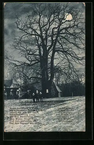 AK Eutin, Gasthaus zum Uglei, 600 jähr. Rieseneiche
