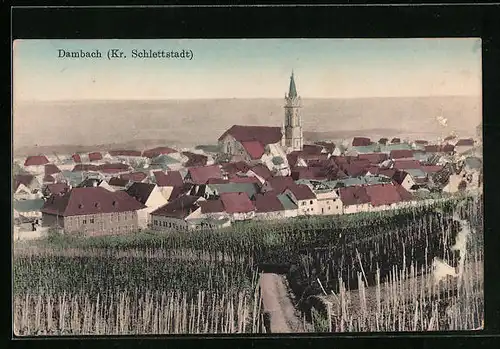 AK Dambach /Kr. Schlettstadt, Panorama