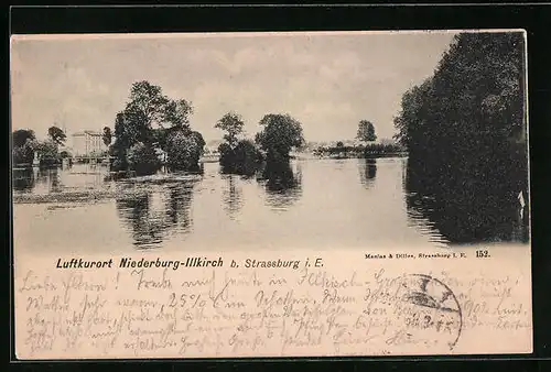 AK Niederburg-Illkirch b. Strassbrug i. E., Uferpartie