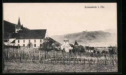 AK Kestenholz i. Els, Ortspartie