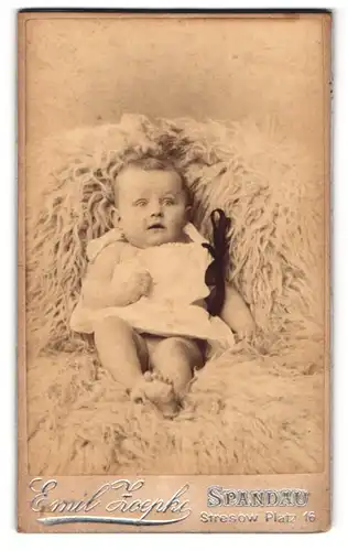 Fotografie Emil Zoepke, Spandau, Stresow Platz 16, Portrait niedliches Baby auf einem Fell