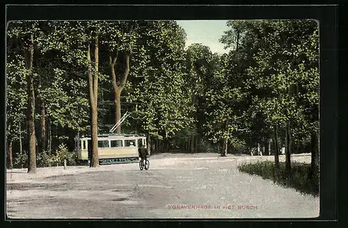 AK `s Gravenhage, In het Bosch, Strassenbahn