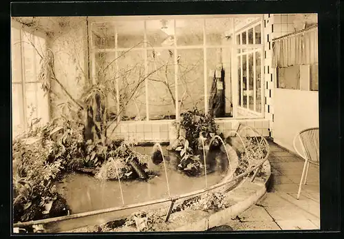 AK Ueckermünde, Tierpark, Brunnen im Haus