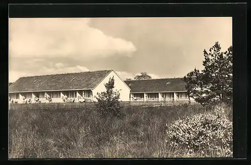 AK Dierhagen / Ostsee, im FDGB-Urlauberdorf