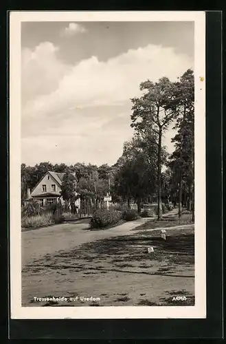 AK Trassenheide / Usedom, Ortsansicht mit Strasse