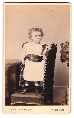 Fotografie A. J. Brown & Son, Halstead, süsses Kleinkind auf einem Stuhl mit neugierigem Blick