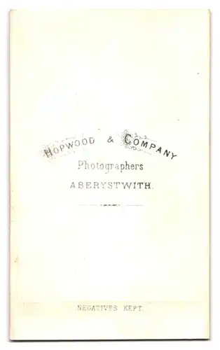 Fotografie Hopwood & Company, Aberystwith, Knabe mit Seitenscheitel