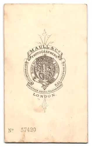 Fotografie Maull & Co., London, 62. Cheapside, Edel gekleideter Herr mit Bart