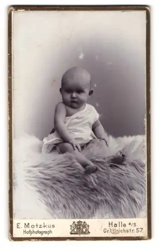 Fotografie E. Motzkus, Halle a /S., Gr. Ulrichstr. 57, Süsses Kleinkind im Hemd sitzt auf Fell