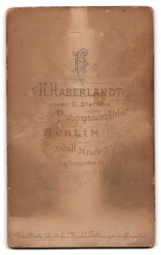 Fotografie H. Haberlandt, Berlin, Anhalt-Str. 2, Bürgerliche Dame mit Kreuzkette und Fächer
