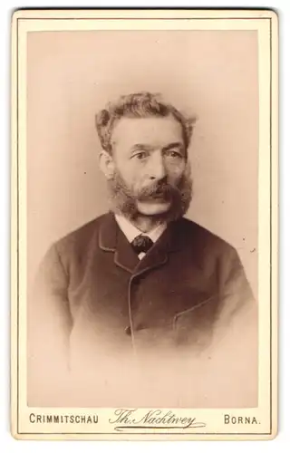 Fotografie Th. Nachtwey, Borna, älterer Herr im Anzug mit Wilhelm I. Bart
