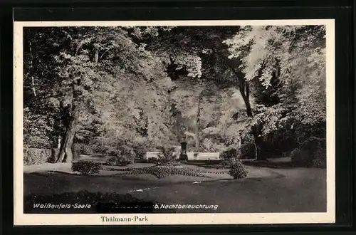 AK Weissenfels /Saale, Thälmann-Park bei Nachtbeleuchtung