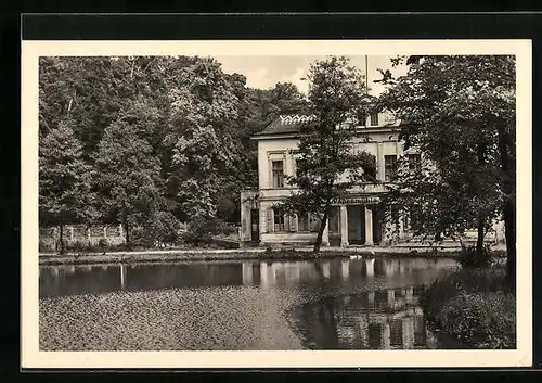AK Bad Freienwalde /Oder, Papenmühle mit Blick über die Anlage