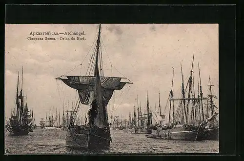 AK Archangel, Dvina du Nord