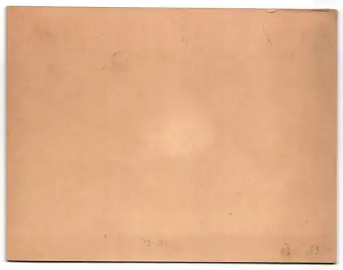 Fotografie unbekannter Fotograf und Ort, Eheleute bei einer Ausfahrt mit der Pferdedroschke