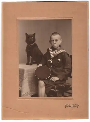 Fotografie Sandberg-Heese, Schwerin, Königstr. 29, junger Knabe im Matrosenanzug mit seinem Hund auf dem Tisch