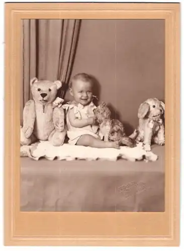 Fotografie Wetzmann, Wien, Gumpendorferstr. 74, kleines Kind zwischen den Teddybären und Plüschfiguren