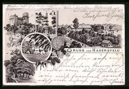 Lithographie Hadersfeld, Alois Aigner`s Gastwirtschaft, Ruine Greifenstein, Obelisk