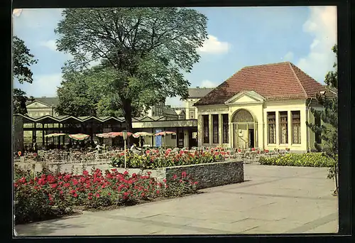 AK Dessau, Gaststätte Teehäuschen