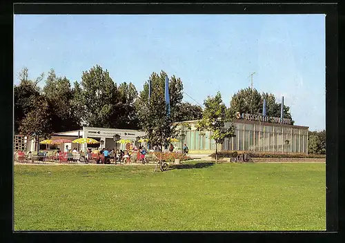 AK Halle /Saale, Terrasse der Gaststätte Saaleaue auf der Peissnitzinsel