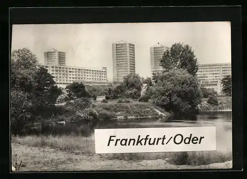 AK Frankfurt /Oder, Lienau-Teich im Botanischen Garten
