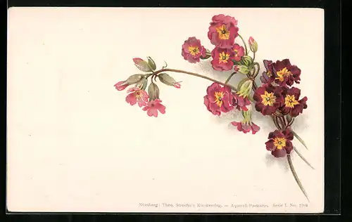 Künstler-AK Theo Stroefer Serie I. Nr. 5309: Blumen mit Knospen