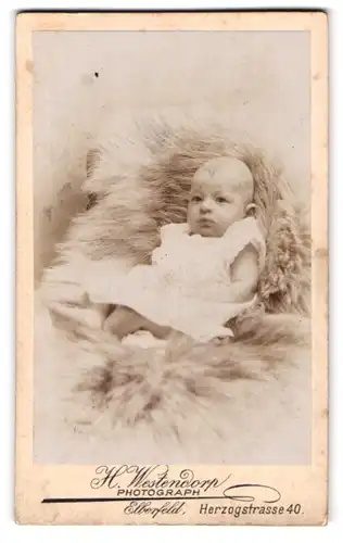 Fotografie H. Westendorp, Elberfeld, Herzogstrasse 40, Baby in weissem Kleidchen auf einem Fell