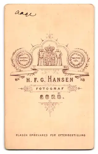 Fotografie H. F. G. Hansen, Sorö, Ernster junger Mann mit Seitenscheitel und Fliege