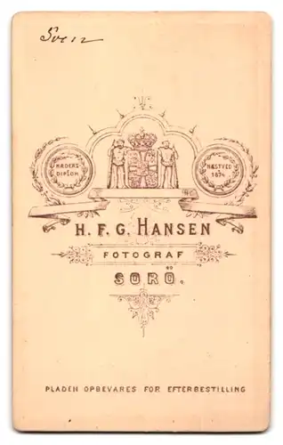 Fotografie H. F. G. Hansen, Sorö, Junger Mann mit Lockenkopf und Fliege in zweireihigem Jacket