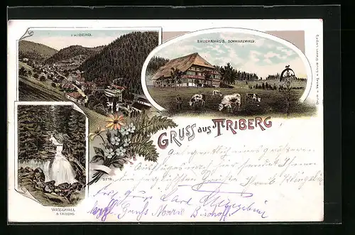 Lithographie Triberg, Wasserfall. Bauernhaus, Totalansicht