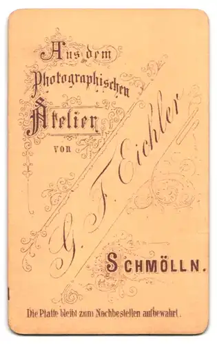 Fotografie G. F. Eichler, Schmölln, Frau mit Mittelscheitel, Ohrringen und Brosche