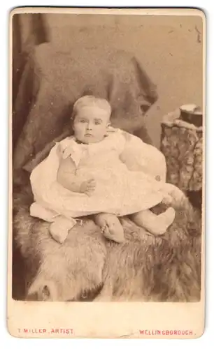 Fotografie Thos. Miller, Wellingborough, Midland Road, Süsses Kleinkind im Kleid sitzt auf Fell