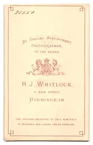 Fotografie H. J. Whitlock, Birmingham, 11, New Street, Junger Herr in Anzugjacke mit Fliege
