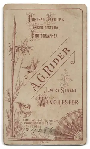 Fotografie A. G. Rider, Winchester, 11, Jewry Street, Junge Dame mit zurückgebundenem Haar