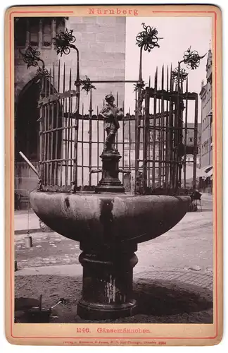 Fotografie Lichtdruck Römmler & Jonas, Dresden, Ansicht Nürnberg, Der Brunnen mit dem Gänsemännchen