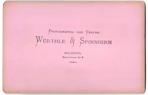 Fotografie Würthle & Spinnhirn, Salzburg, Ansicht Hallstatt, Seepartie mit Blick auf den Ort und Fährschiff