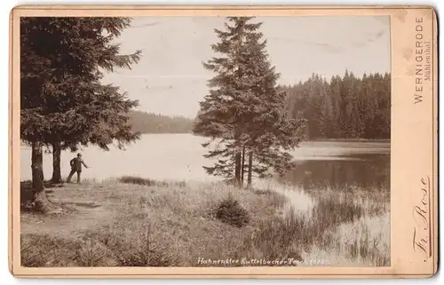 Fotografie Fr. Rose, Wernigerode, Ansicht Hahnenklee, Partie am Kuttelbacher Teich