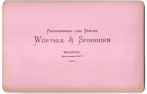 Fotografie Würthle & Spinnhirn, Salzburg, Ansicht Traunkirchen, Blick auf den Ort mit Bergen