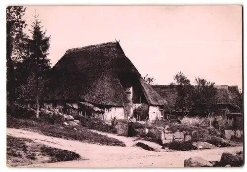 Fotografie unbekannter Fotograf, Ansicht Timmendorfer Strand, alte Katen in Klein Timmendorf, 1893