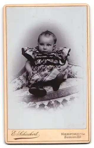 Fotografie Eberhard Schuckert, Herford, Brüderstr. 352, Wappen & Ornamente, Rückseitig Baby Portrait