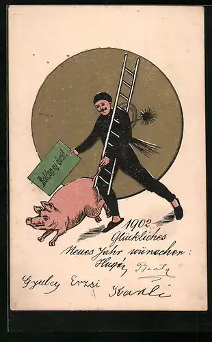 AK Schornsteinfeger mit Leiter und Schwein