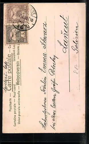 AK Schornsteinfeger mit Leiter und Schwein